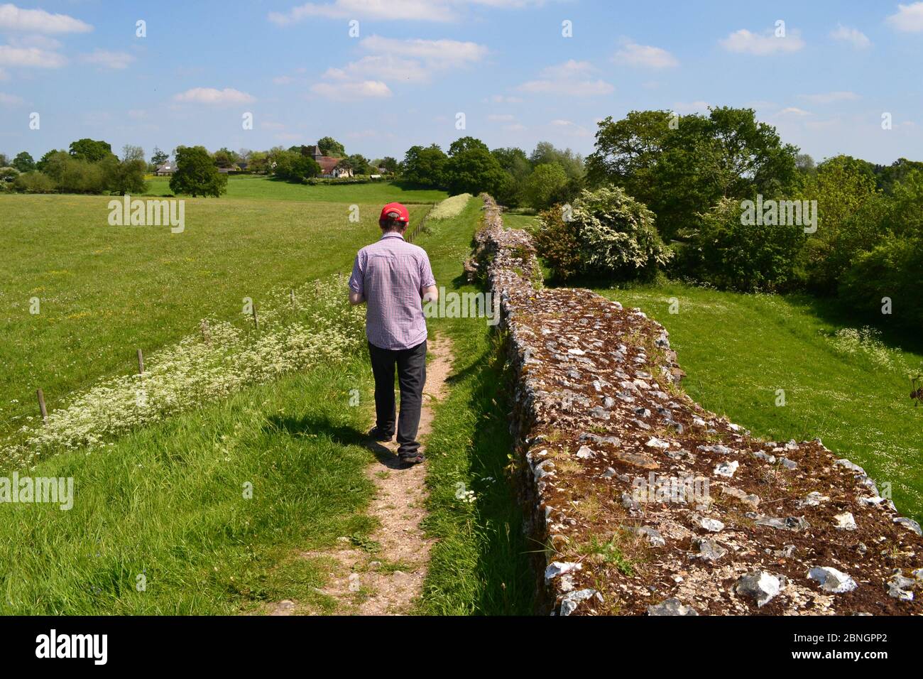 Uomo che cammina lungo le mura romane di Silchester, Silchester, Hampshire, Regno Unito Foto Stock