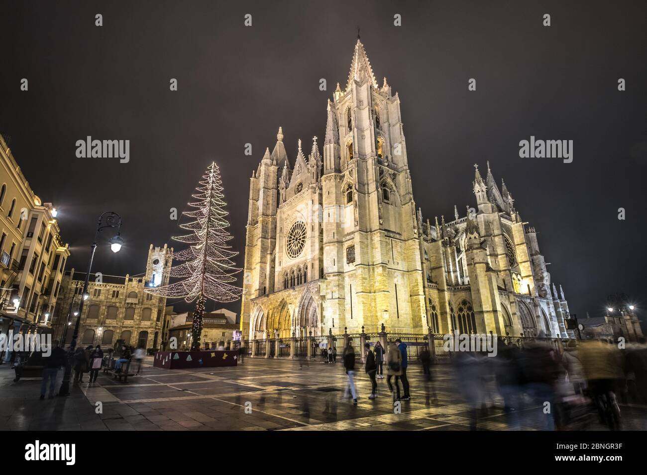 Leon Cattedrale gotica notte piovosa riflessi in acqua, albero di natale e luci, Castilla Leon Spagna Foto Stock
