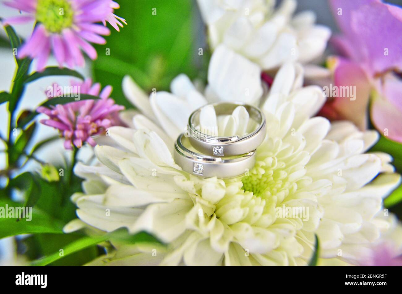 Gli anelli di nozze di sposo e sposa Foto Stock