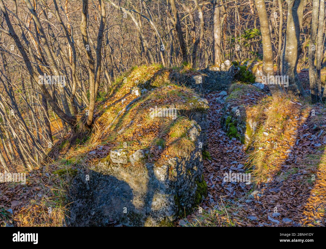 Trincee della prima guerra mondiale nella foresta di Molveno villaggio ai piedi delle Dolomiti di Brenta, Trentino Alto Adige, Itay settentrionale, Europa Foto Stock