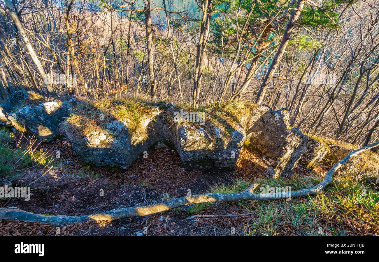 Trincee della prima guerra mondiale nella foresta di Molveno villaggio ai piedi delle Dolomiti di Brenta, Trentino Alto Adige, Itay settentrionale, Europa Foto Stock