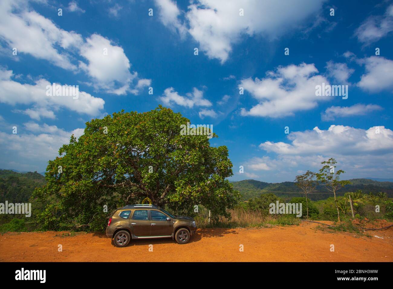 Un SUV parcheggiato vicino ad un albero Foto Stock