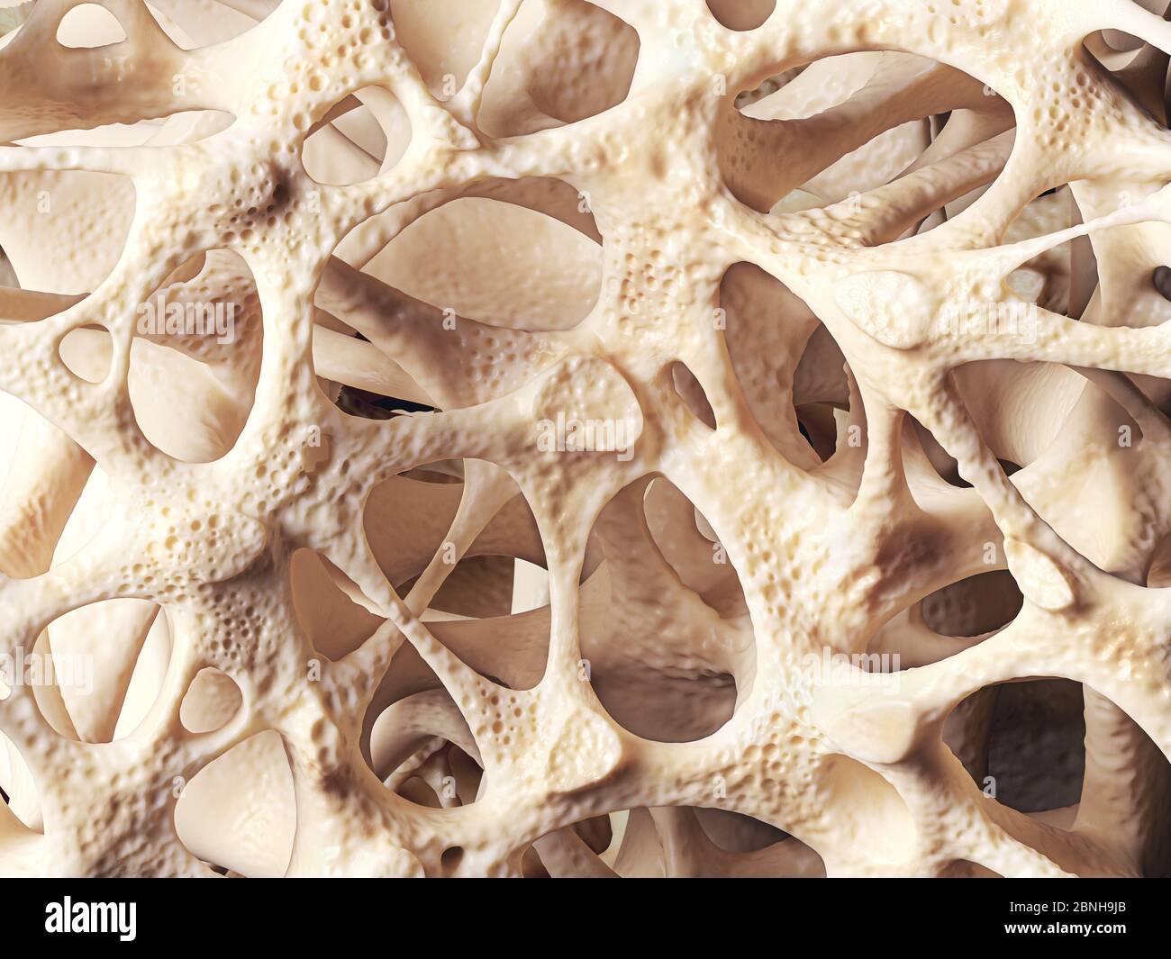 Struttura ossea realistica e spugnosa in primo piano, struttura ossea influenzata dall'osteoporosi, illustrazione 3d Foto Stock