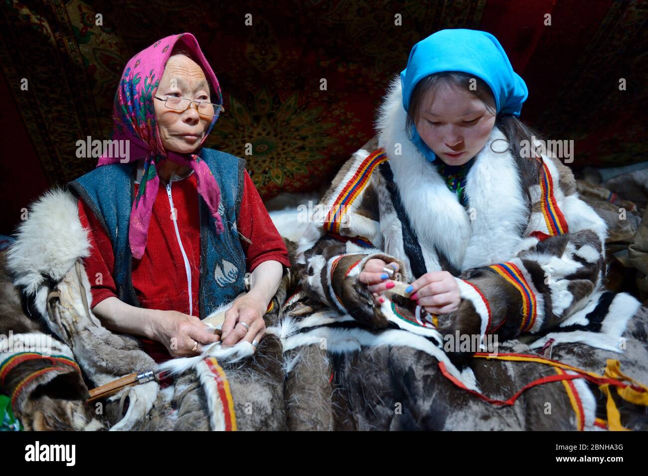 Due generazioni di donne Nenet, una donna anziana e ragazza di età, cucire e indossare cappotto tradizionale fatto con pelle di renna. Distretto di Yar-sale, Yamal, Foto Stock