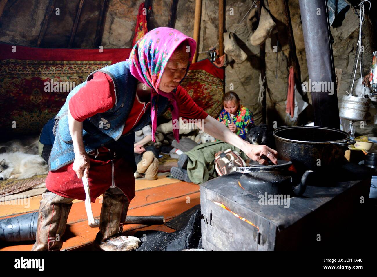 Donna Nenet che controlla l'acqua per il tè, all'interno della tenda. Distretto di Yar-sale. Yamal, Siberia nord-occidentale, Russia. Aprile 2016. Foto Stock