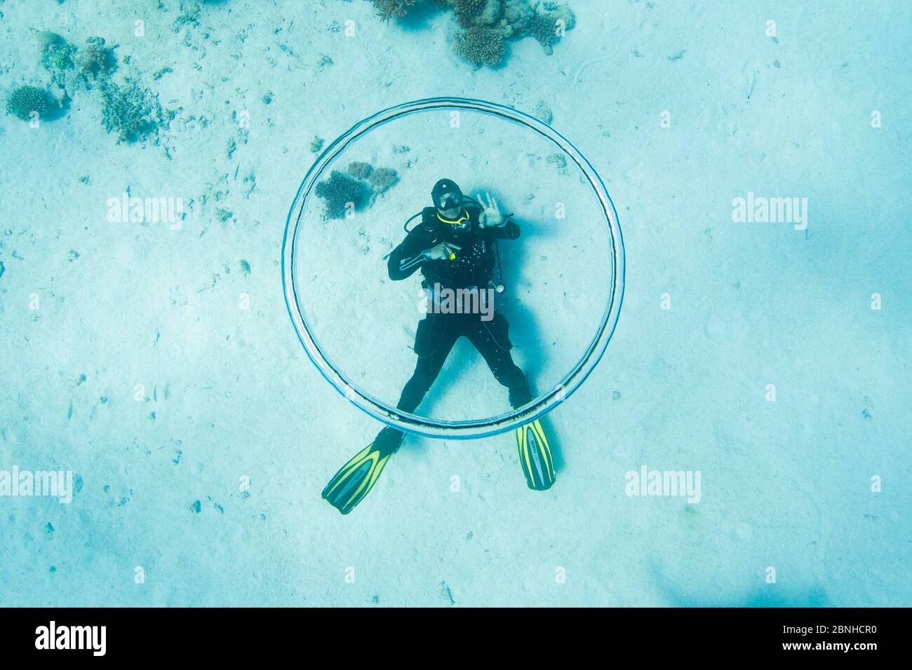 L'istruttore di immersione Ahmed Gomaa soffia anelli di bolle mentre si fa immersioni alla barriera corallina della casa dei delfini, nel nord del Mar Rosso, febbraio 2016 Foto Stock