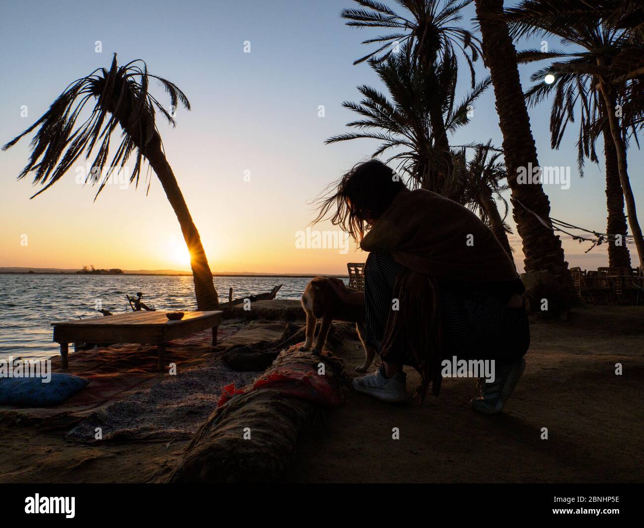 una donna sta accarezzando un piccolo cane, cucciolo nell'oasi di siwa al tramonto Foto Stock