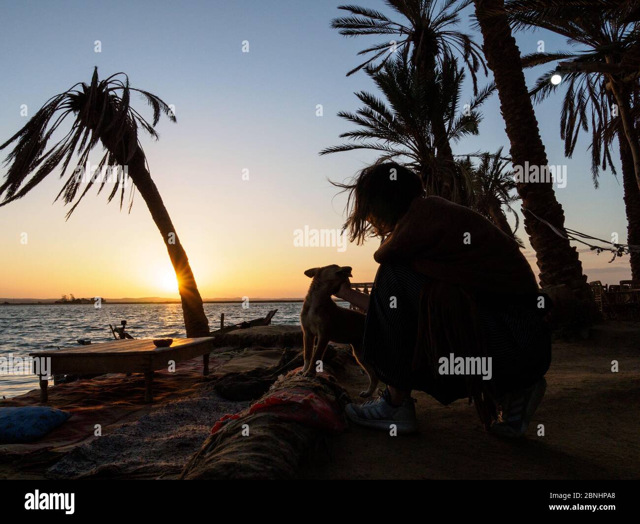 una donna sta accarezzando un cucciolo nell'oasi di siwa al tramonto Foto Stock