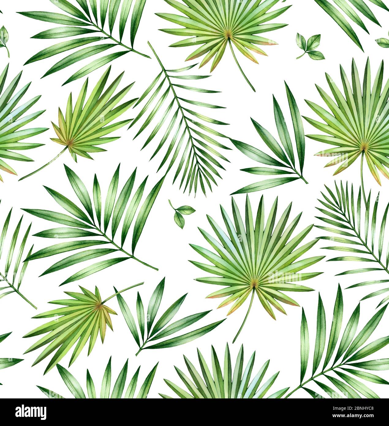 Motivo senza giunture tropicale acquerello. Palma esotica, ventilatore, foglie di cocco isolato su bianco. Fogliame esotico. Illustrazione botanica disegnata a mano per Foto Stock
