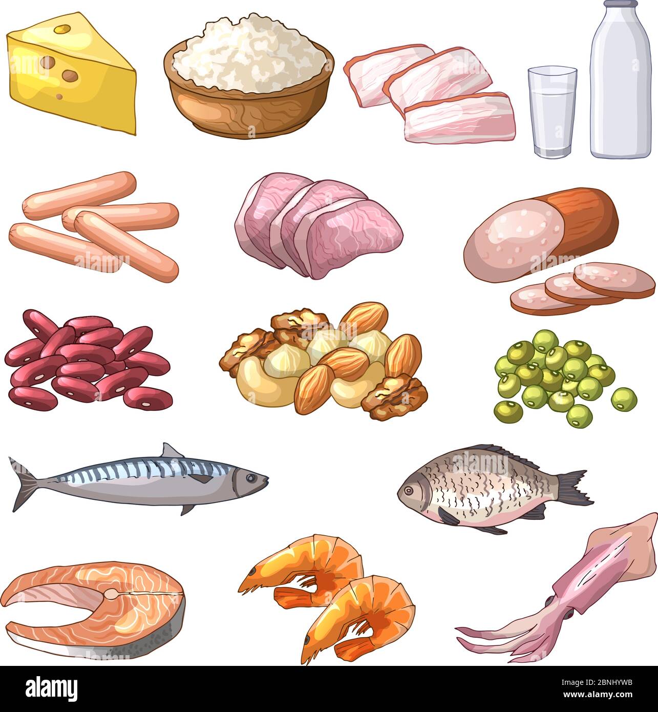 Illustrazioni di prodotti diversi che contengono proteine. Immagini vettoriali in stile cartoon Illustrazione Vettoriale