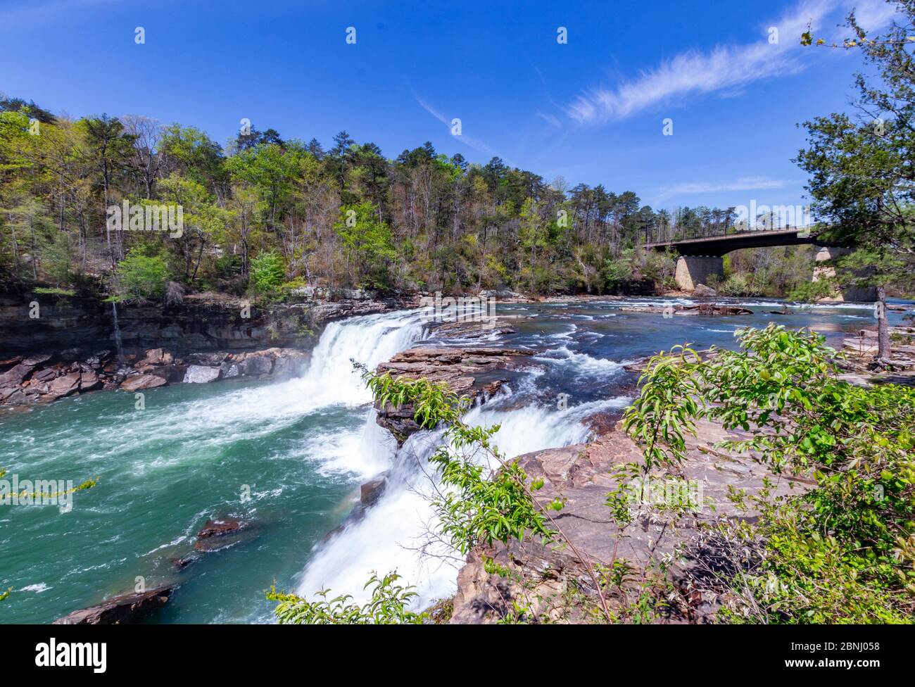 Un ponte attraversa piccole cascate presso la riserva nazionale del canyon Little River Foto Stock