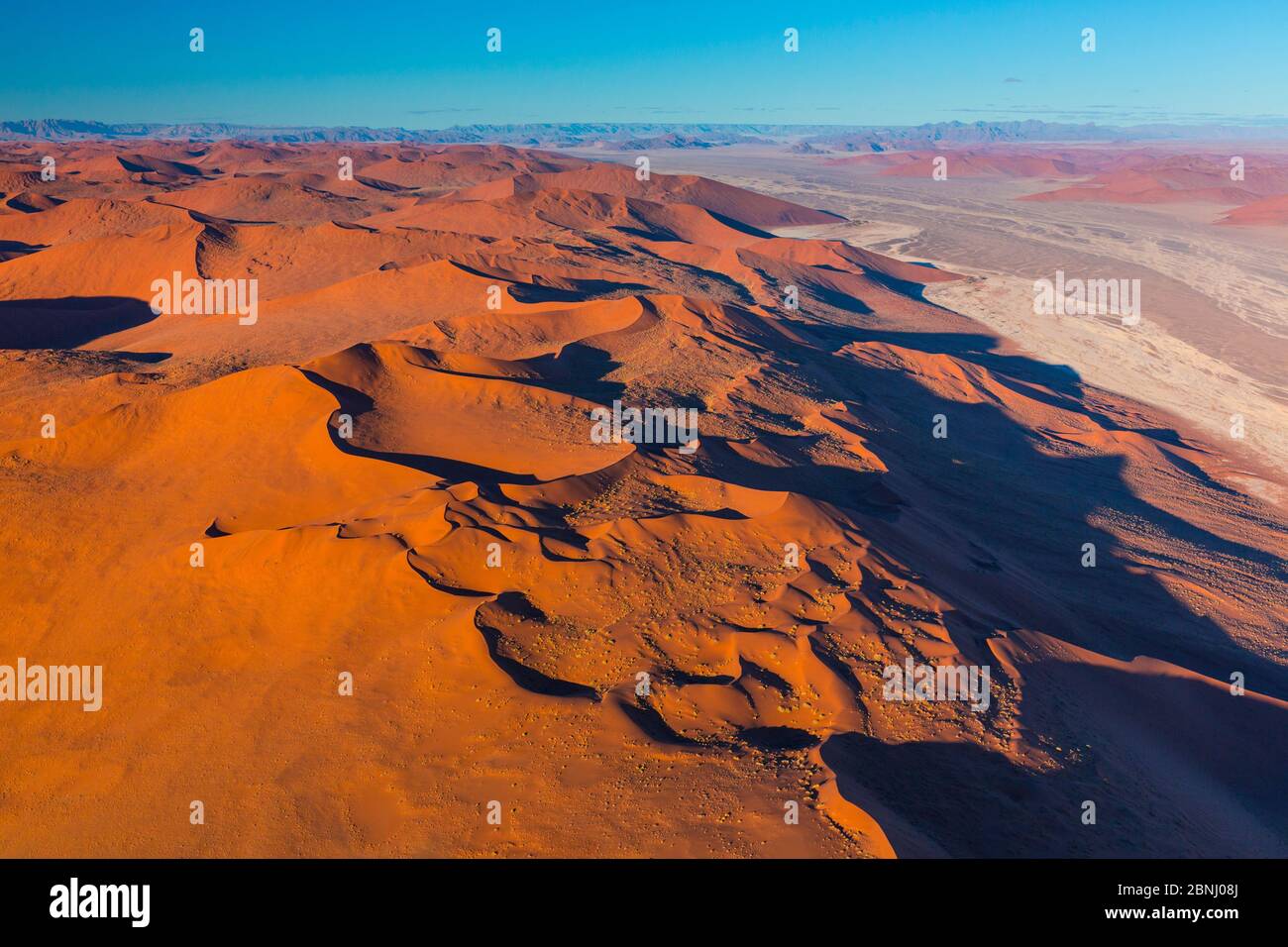 Vista aerea del Namib-Naukluft National Park con dune di sabbia habitat, Namibia Foto Stock