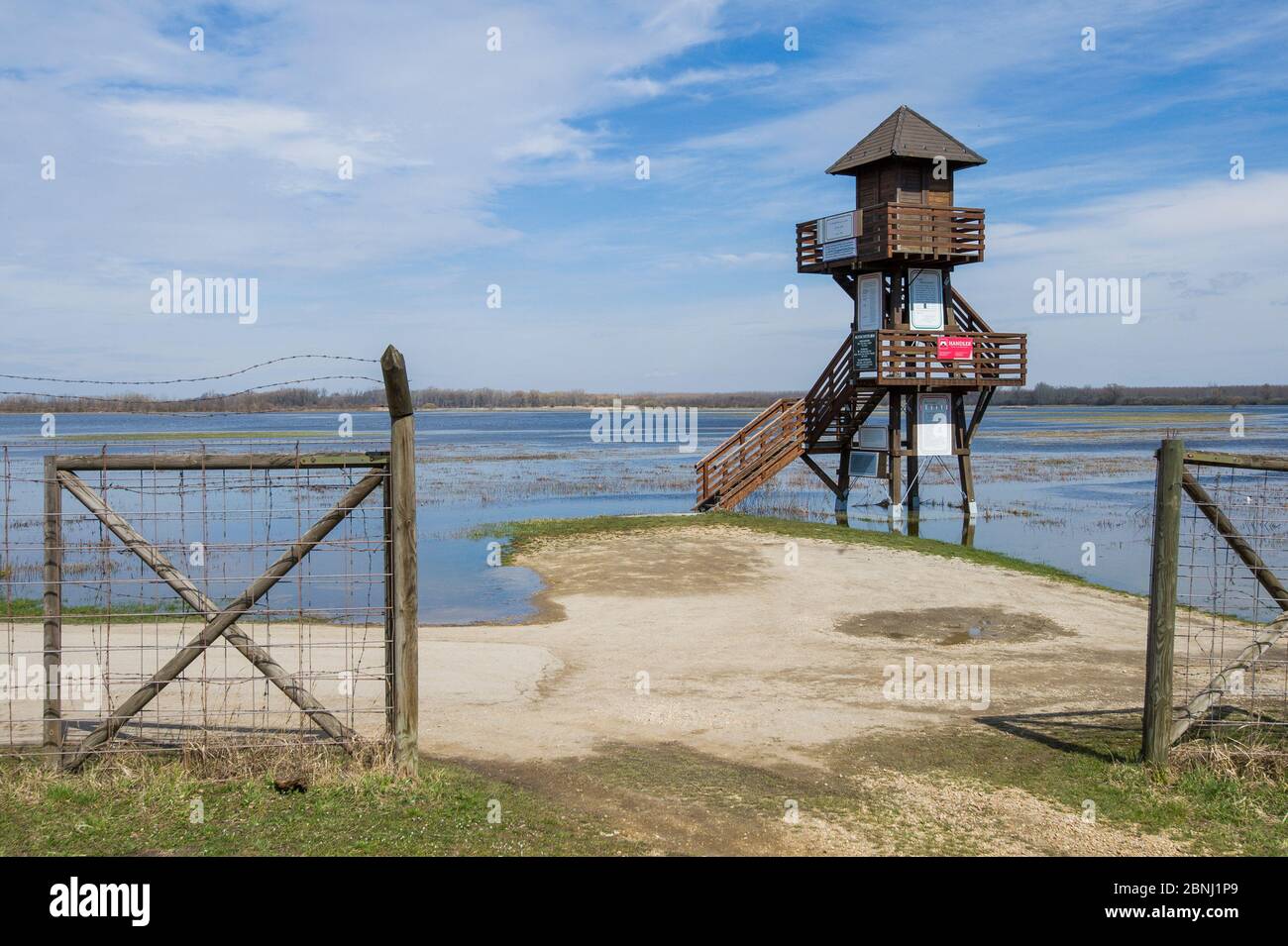 Torre di osservazione per birdwatching, Parco Nazionale del Lago Neusiedl, zona di Hansaga, Austria, aprile. Foto Stock