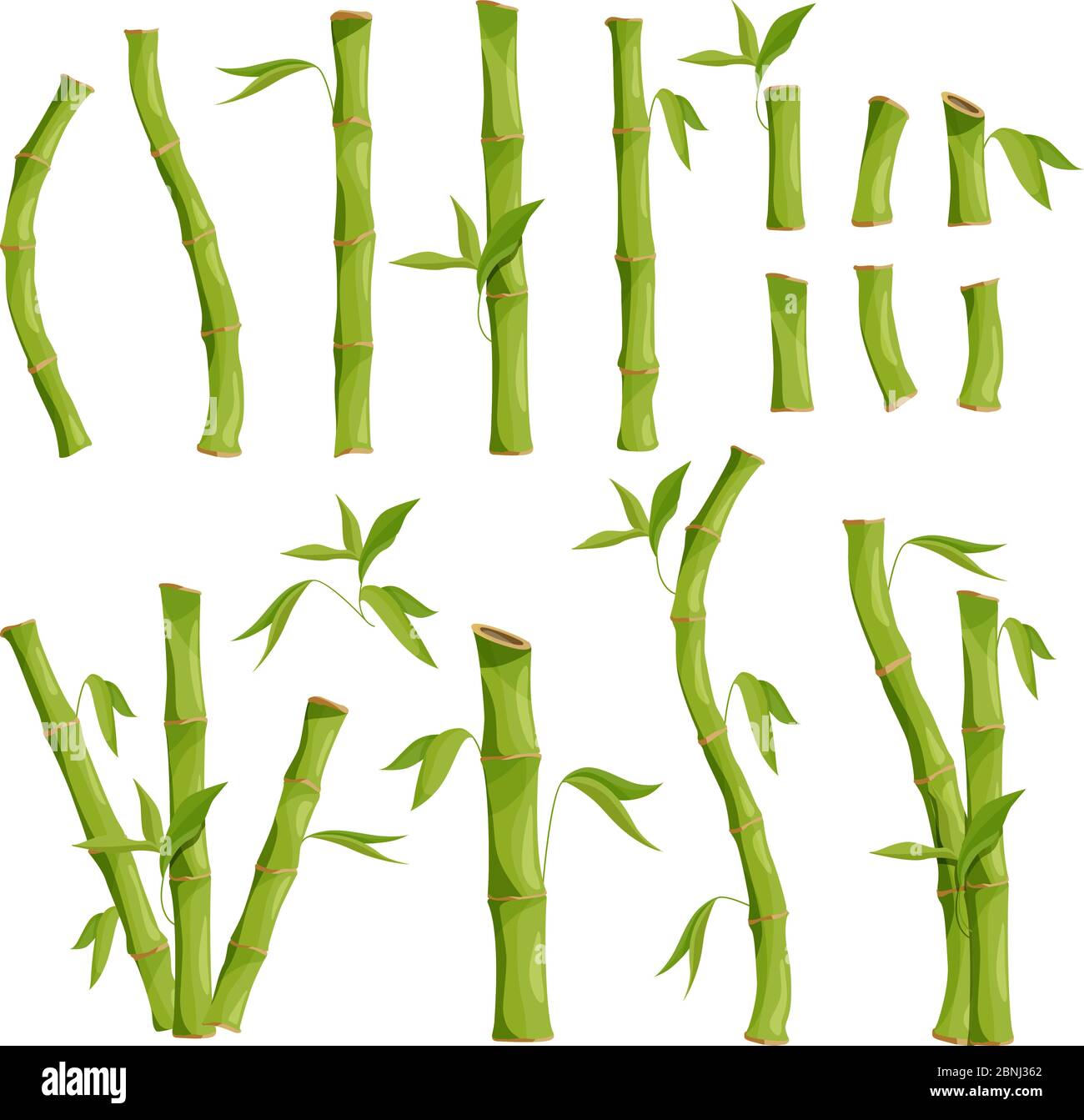 Natura eco immagini di bambù albero. Giungla legno Illustrazione Vettoriale