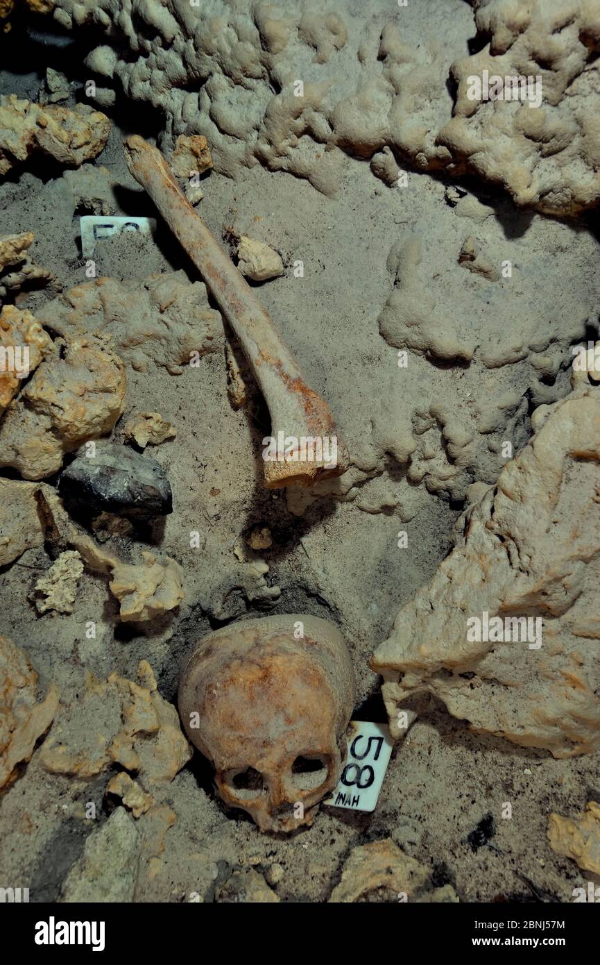 Cranio e ossa umani maya, eventualmente il risultato di sacrificio umano agli dei che la cultura maya fece e poi gettò nel cenote, era pre-ispanica, Foto Stock