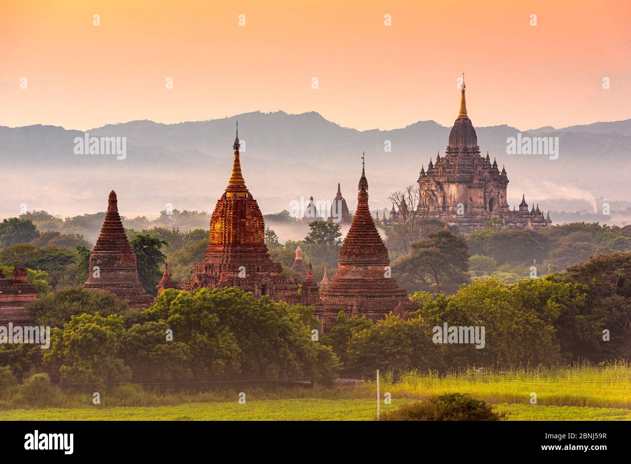 Bagan, templi di Myanmar nella zona archeologica al tramonto. Foto Stock