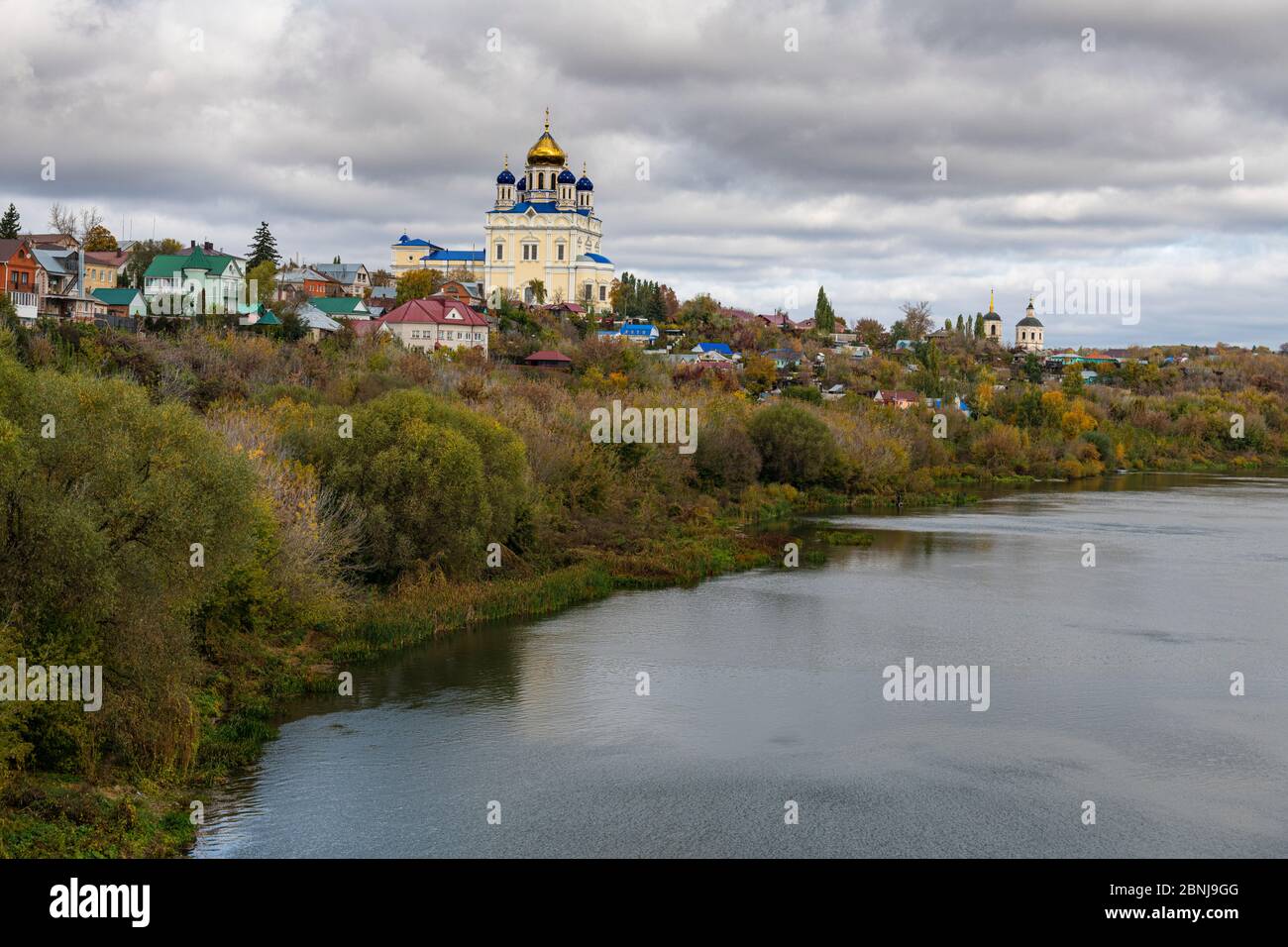 Yelet Cattedrale che si affaccia sul fiume Bystraya Sosna, Yelet, Lipetsk Oblast, Russia, Eurasia Foto Stock