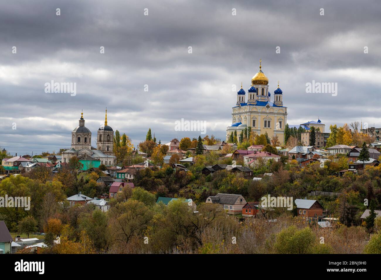 Yelet Cattedrale che si affaccia sul fiume Bystraya Sosna, Yelet, Lipetsk Oblast, Russia, Eurasia Foto Stock