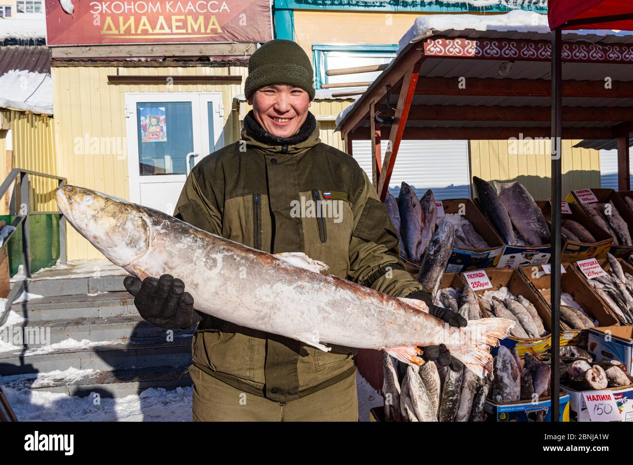 Venditore locale di pesce che detiene un enorme mercato di pesce e carne congelati, Yakutsk, Sakha Repubblica (Yakutia), Russia, Eurasia Foto Stock