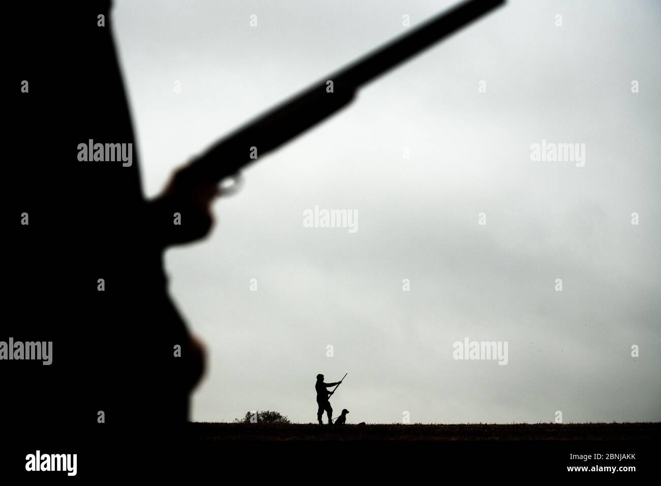 Immagine in bianco e nero di una pistola e del suo cane, Regno Unito, Europa Foto Stock