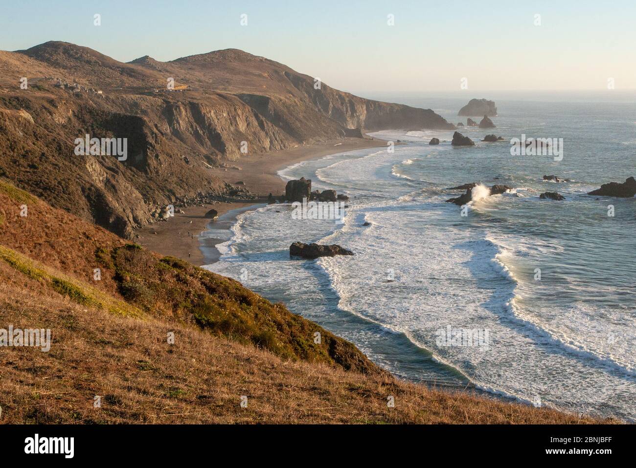 Goat Rock Beach, vicino a Jenner, California, Stati Uniti d'America, Nord America Foto Stock