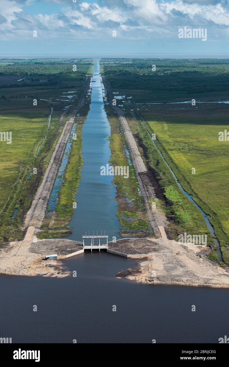 Speranza canal, un canale di irrigazione in Oriente Demerara acqua Conservancy (per la canna da zucchero e la produzione di riso) area costiera di Guyana, Sud America Foto Stock