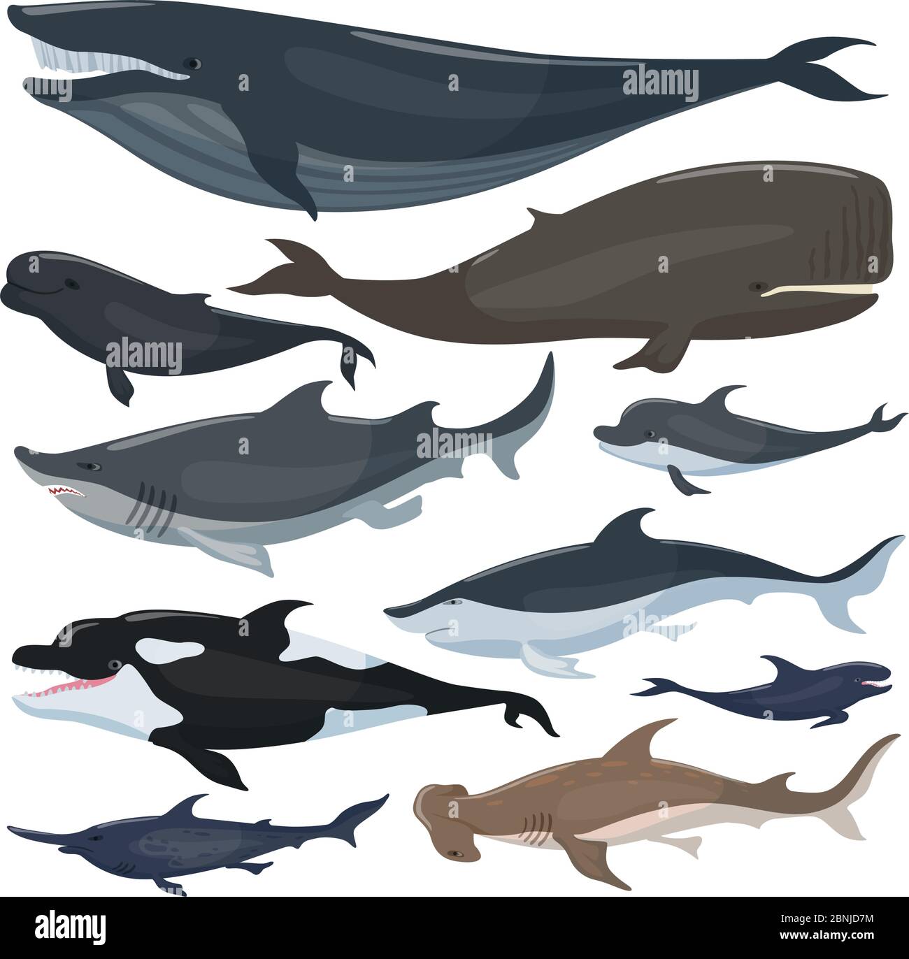 Balene, delfini squali e altri mammiferi nautici Illustrazione Vettoriale