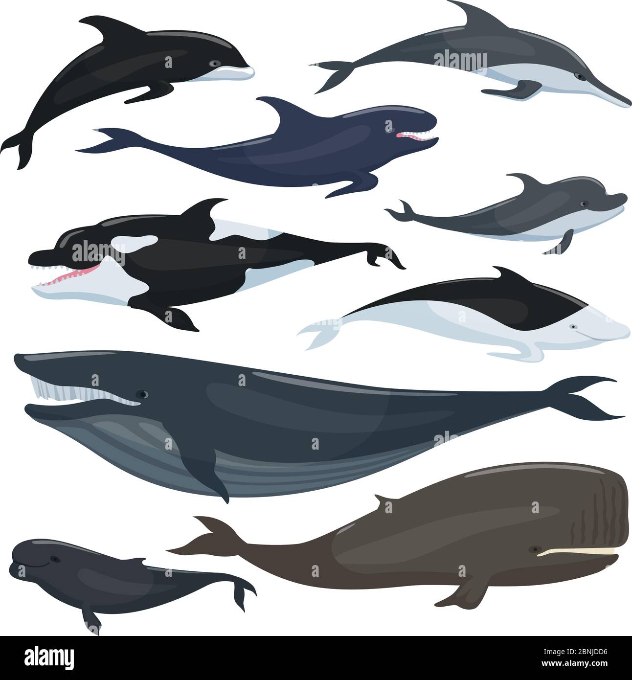 Collezione nautica di diversi pesci e mammiferi subacquei di grandi dimensioni Illustrazione Vettoriale