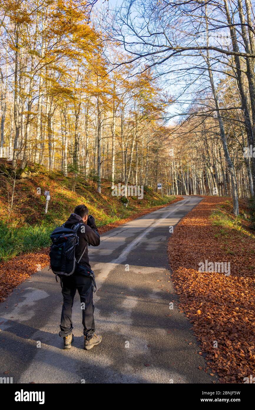 Parco Nazionale delle foreste Casentinesi, Badia Prataglia, Toscana, Italia, Europa. Una persona sta scattando le foto nel legno. Foto Stock