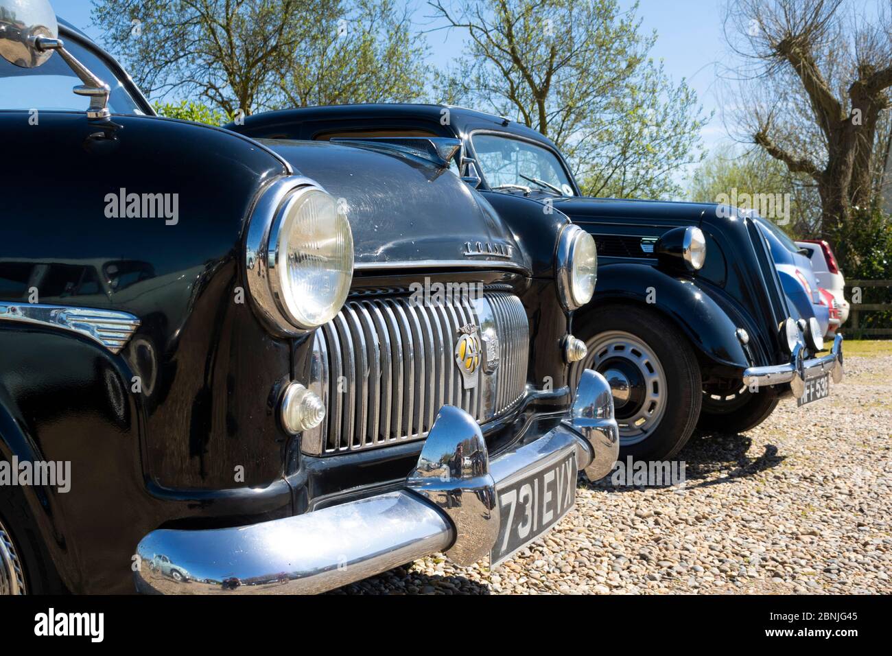 Un colpo di paraurti di una fila di auto classiche, scintillante al sole in una giornata di sole Foto Stock