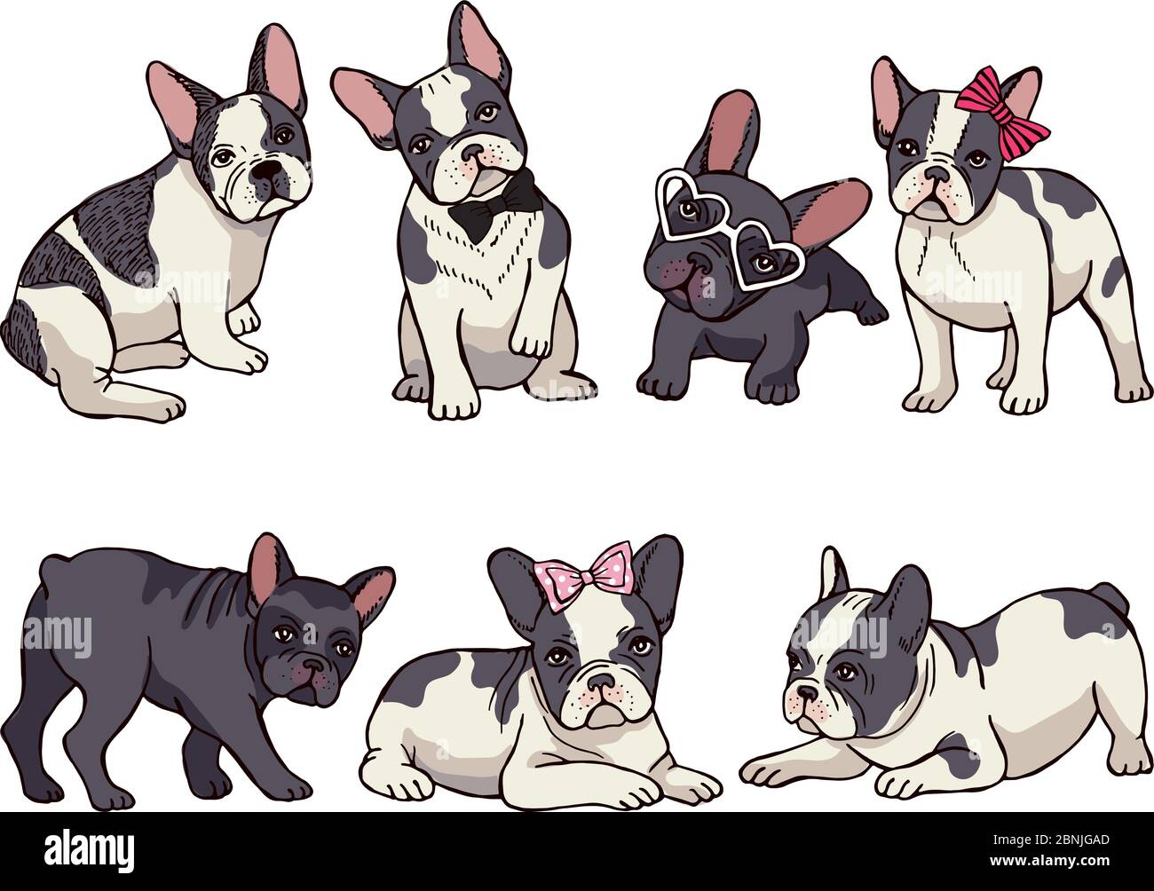 Illustrazioni insieme di carino piccolo bulldog francese. Divertenti immagini di cucciolo Illustrazione Vettoriale