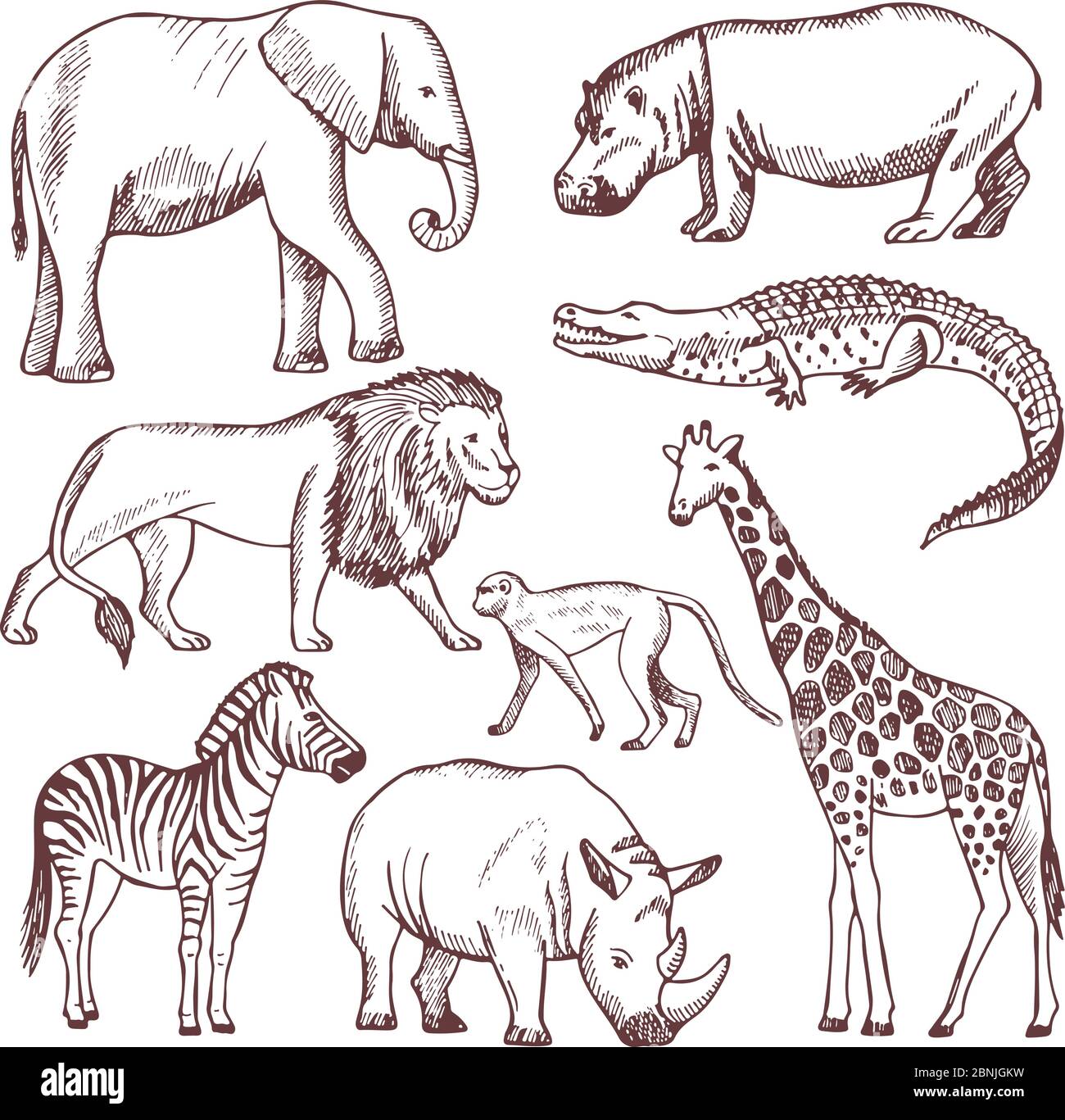Animali diversi della savana e dell'africa Illustrazione Vettoriale