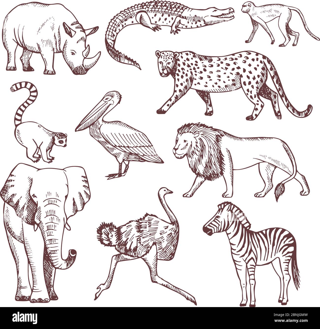 Illustrazioni disegnate a mano di animali africani Illustrazione Vettoriale