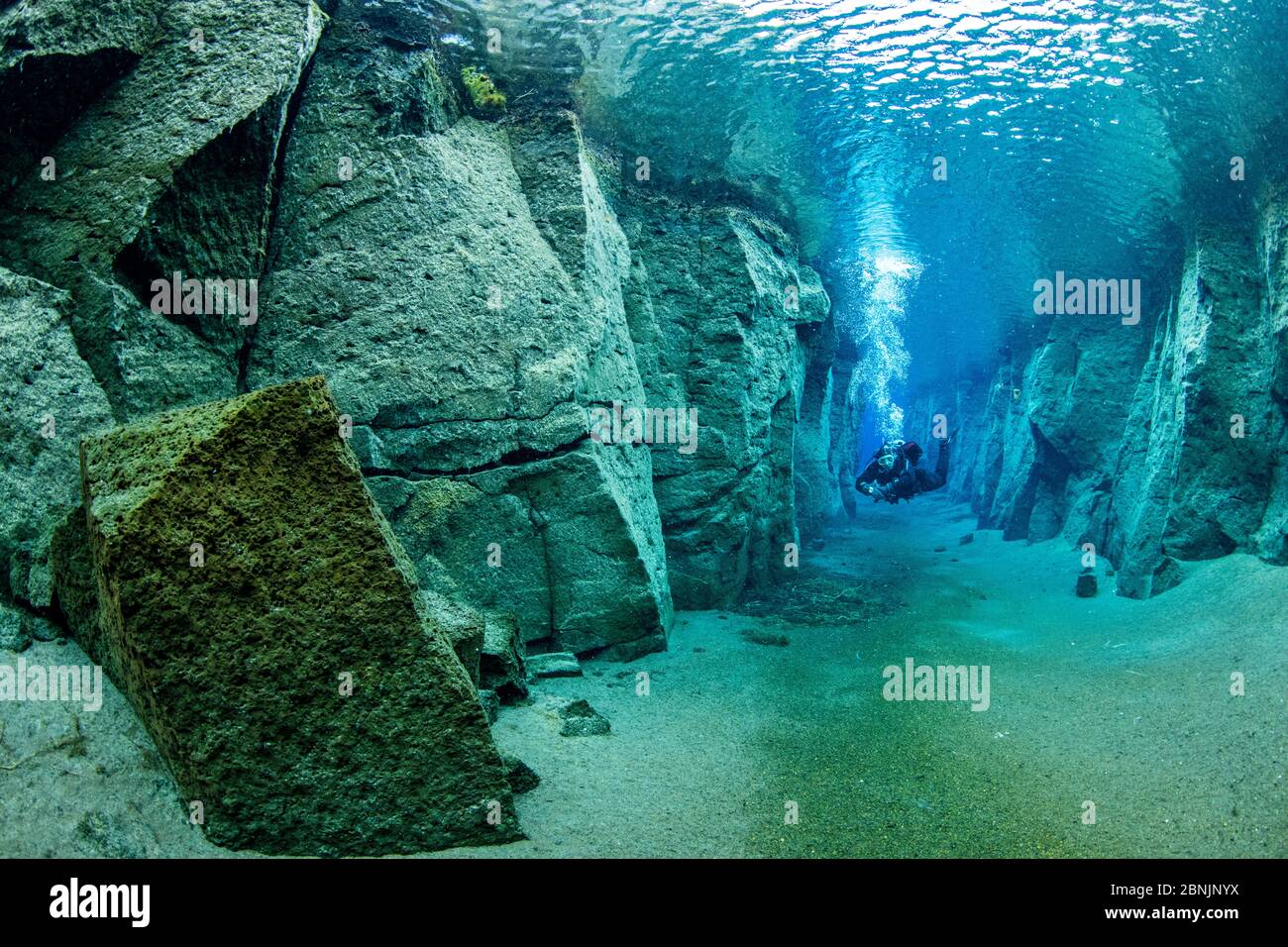 Scuba Diver esplorare vulcanica Nesgja crack, Asbyrgi National Park, Nord Islanda Foto Stock