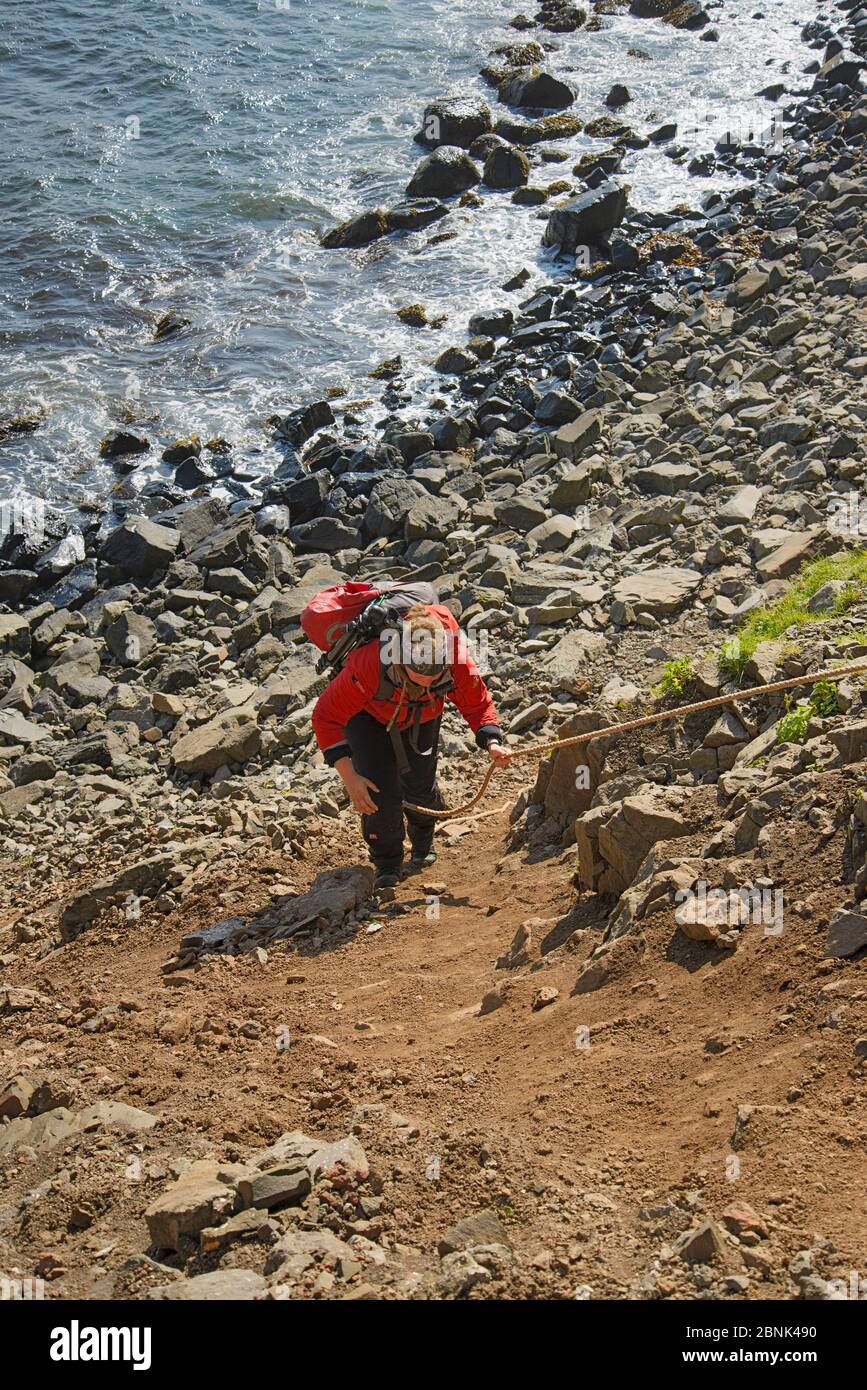 Fotografo Megan Whittaker escursionismo una ruvida trail, Hornvik, Hornstrandir, Islanda. Luglio 2015. Modello rilasciato Foto Stock