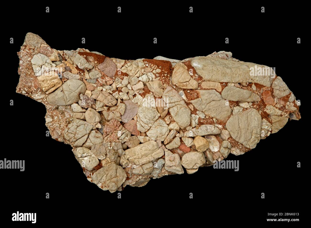 Conglomerato calcareo di Leesburg dalla contea di Frederick, Maryland, Stati Uniti. È costituito da frammenti di calcare Paleozoico inferiore, calcare dolomitico, quarzit Foto Stock