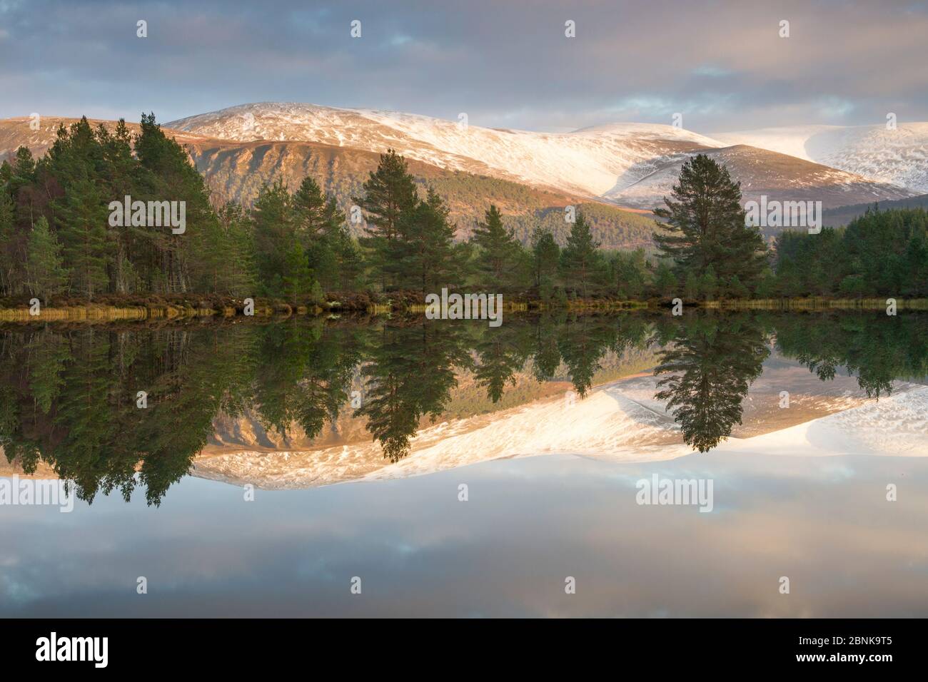 Uath Lochan nella luce della sera, Cairngorms National Park, Scotland, Regno Unito, novembre 2013. Foto Stock
