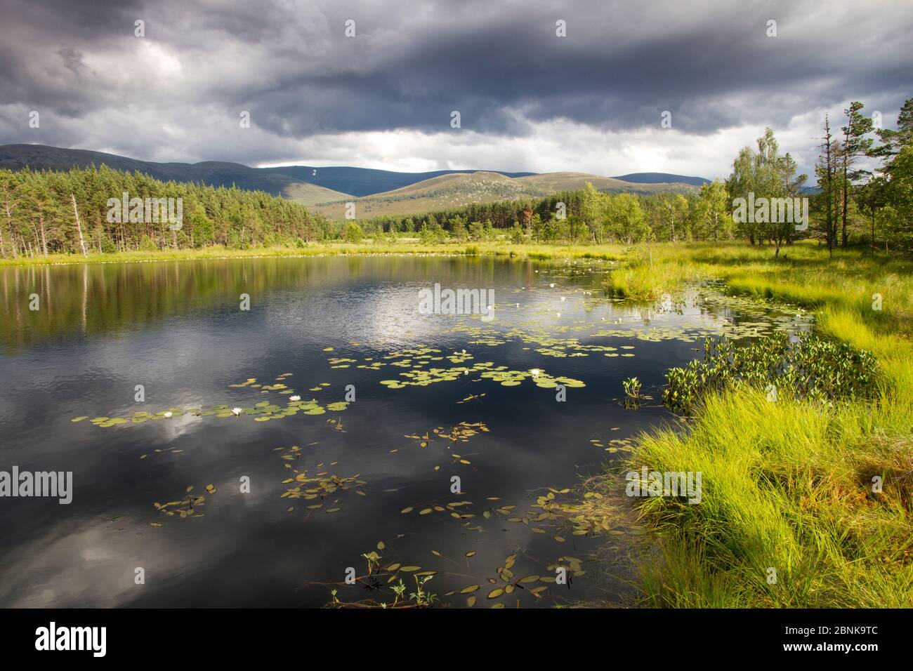 Uath Lochan con cielo tempestoso riflessa nell'acqua, Cairngorms National Park, Scozia, luglio 2014. Foto Stock