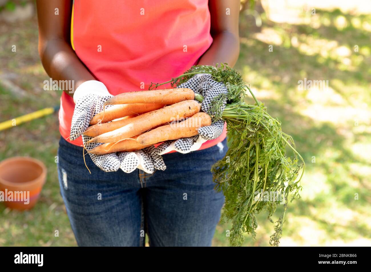 Donna afro-americana che indossa guanti e presenta carote fresche Foto Stock