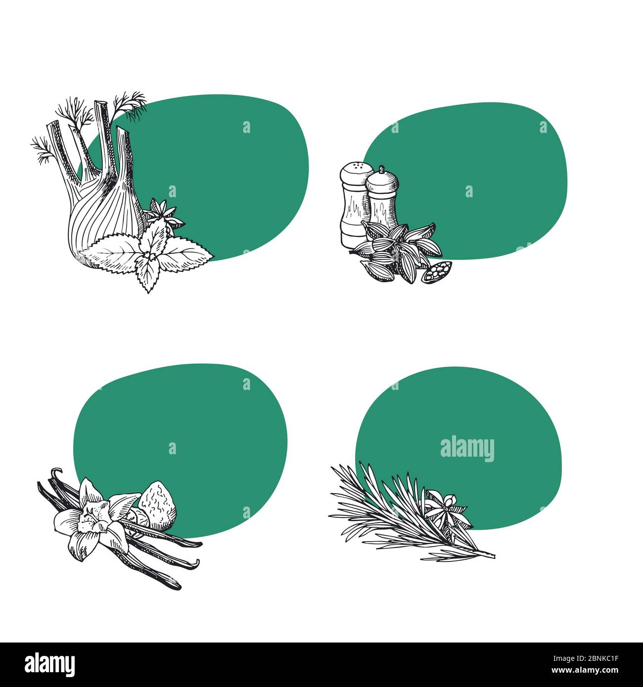 Illustrazione di erbe e spezie disegnate a mano vettoriale Illustrazione Vettoriale