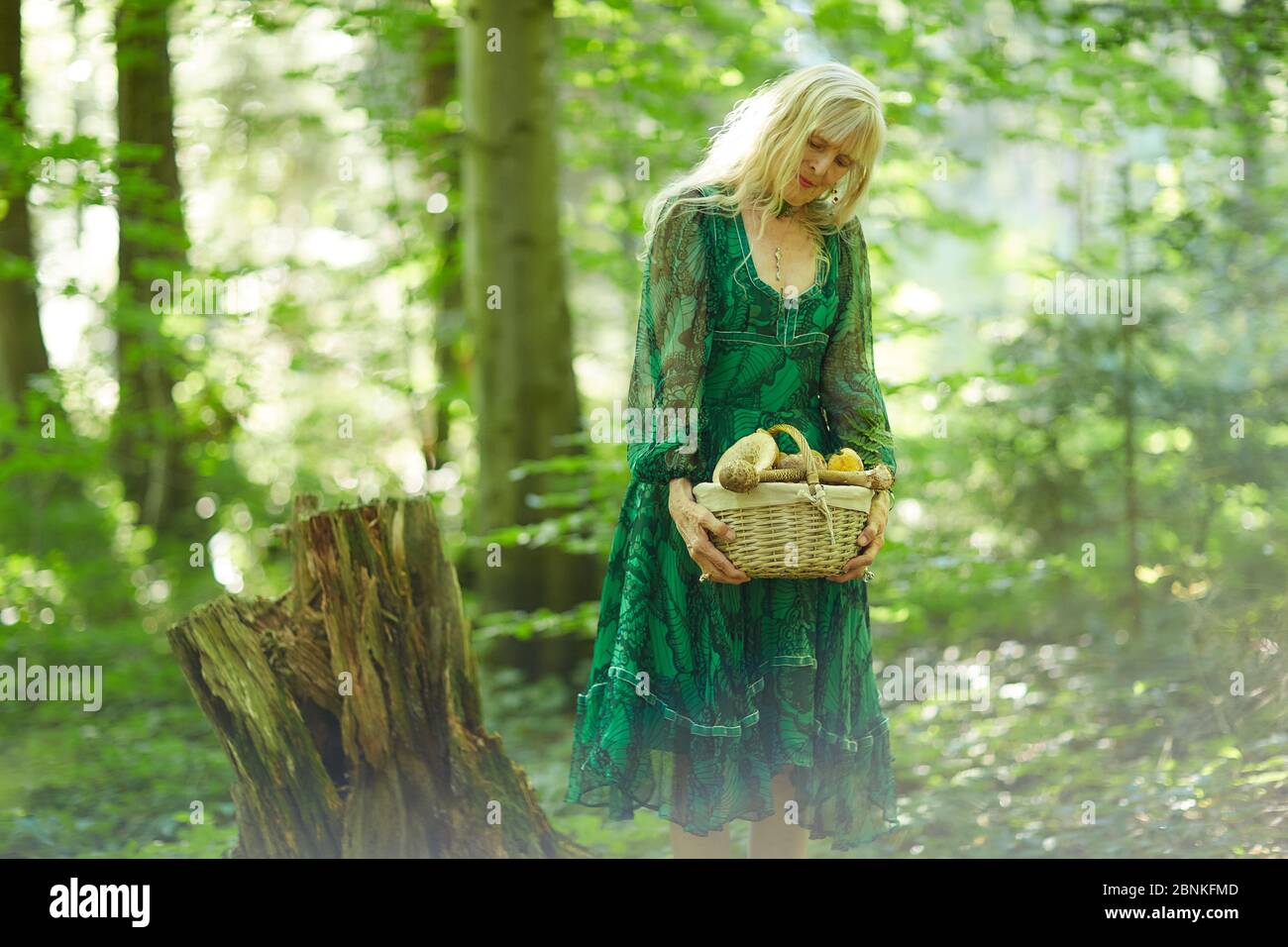 Donna in cerca di funghi nella foresta Foto Stock