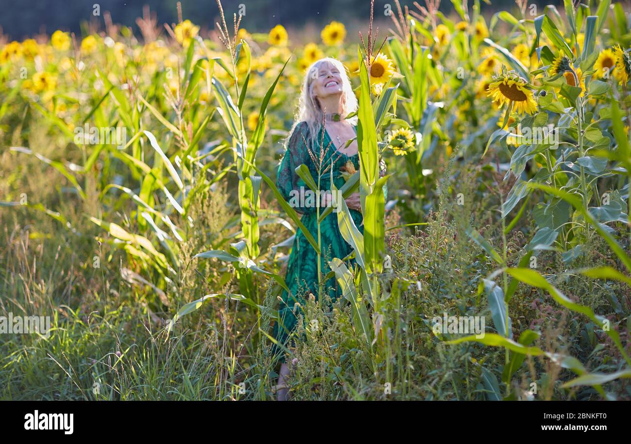 Donna di mezza età, guardando il cielo, ridendo, vestito verde, campo di girasole, mais sulla pannocchia Foto Stock