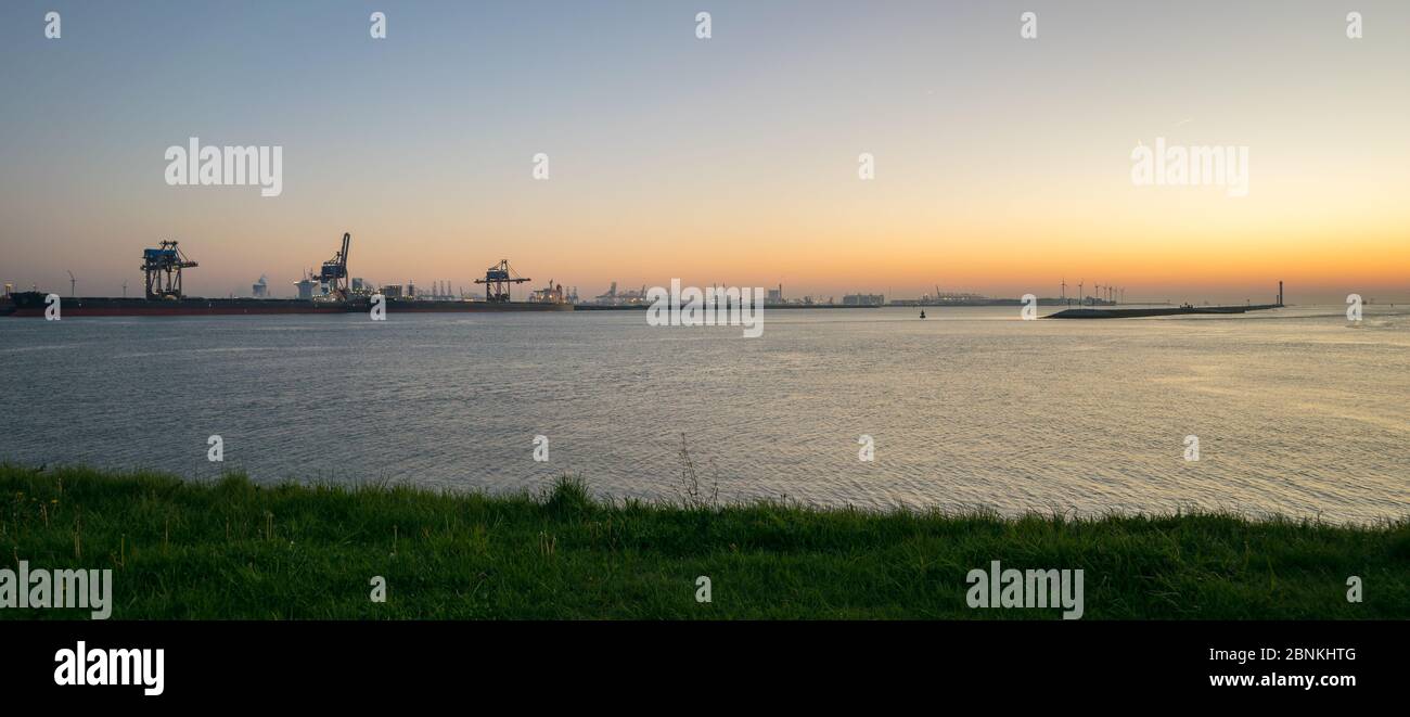 Cielo serale su Maasvlakte ed Europoort vicino Rotterdam, Paesi Bassi. Area fortemente industrializzata, che è anche chiamata la porta verso l'Europa. Foto Stock