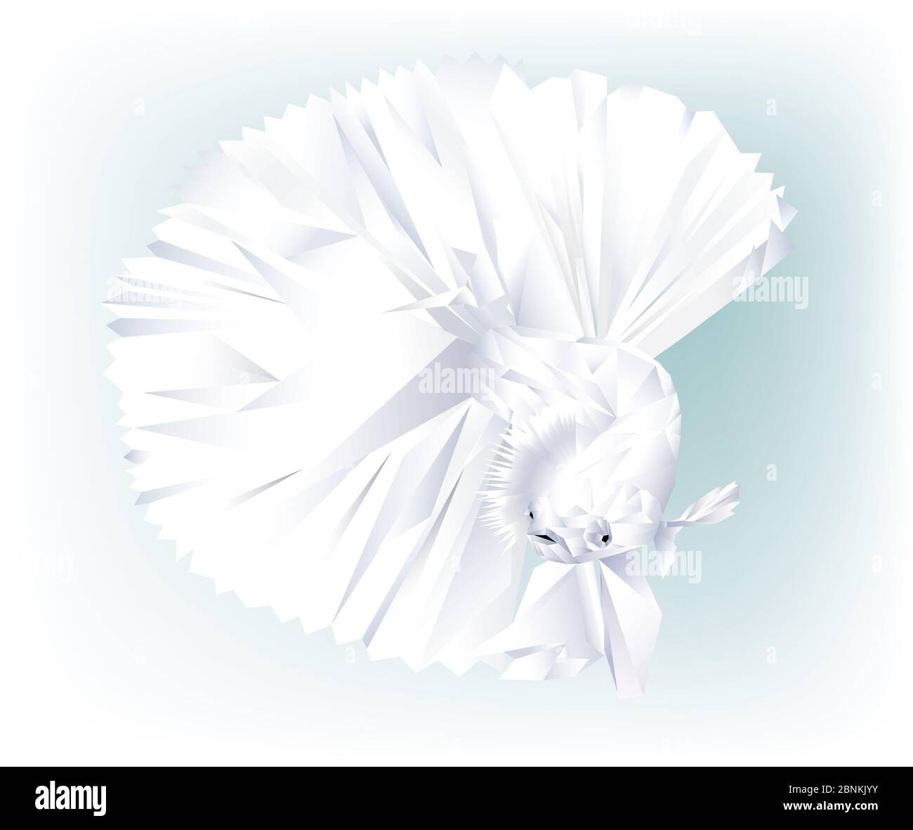 Bel cubismo Siamese combattente pesce isolato Foto Stock