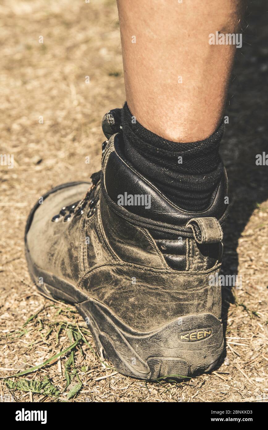 Scarpe da trekking Foto Stock