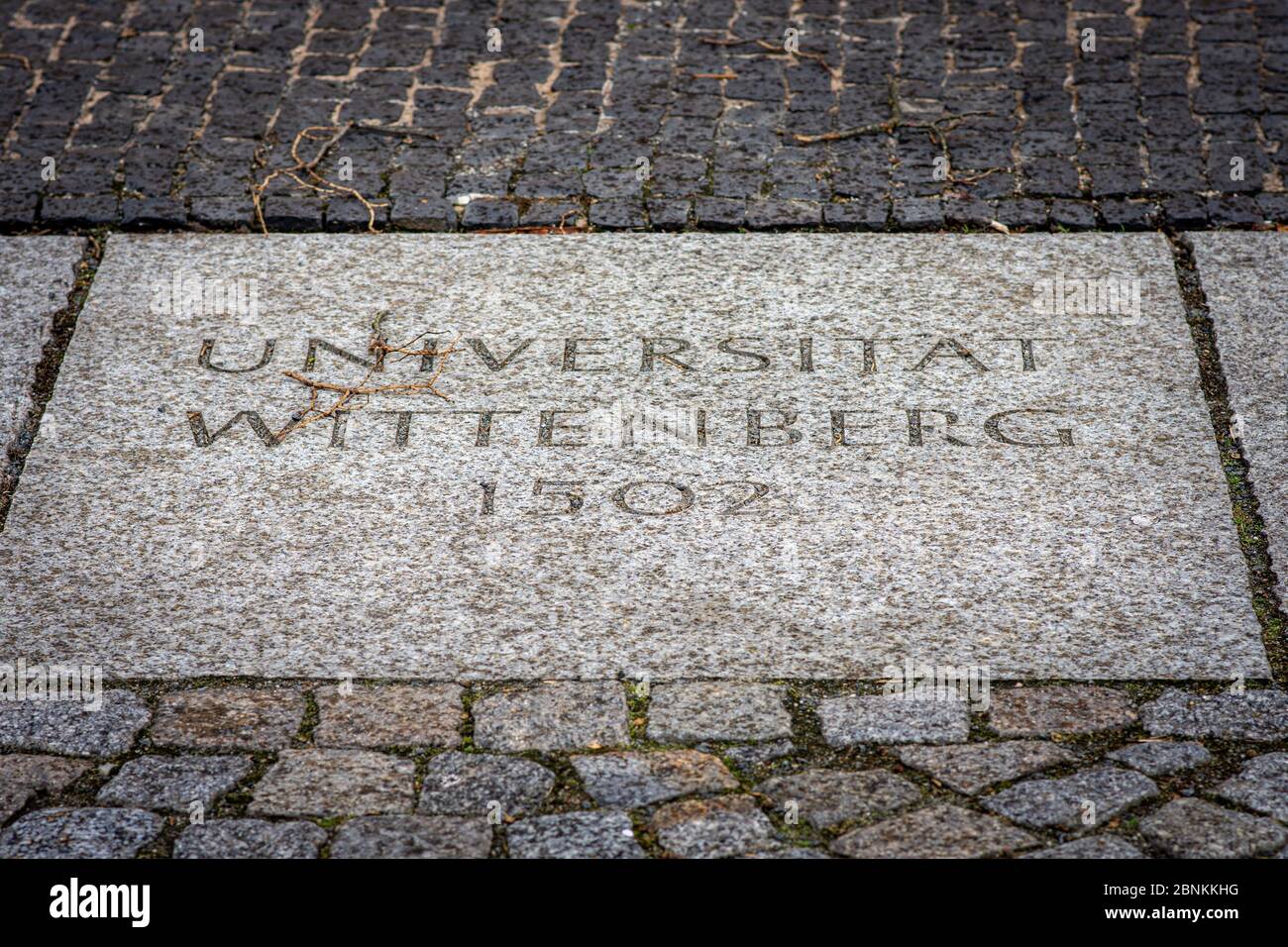 Wittenberg / Germania - 26 febbraio 2017: Università di Wittenberg (Università di Wittenberg) fondata nel 1502 a Lutherstadt Wittenberg in Sassonia-Anhalt Foto Stock