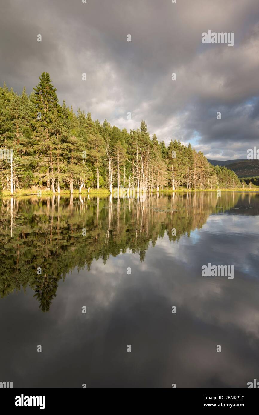 Lochan nella luce della sera, Uath Lochans, Glenfeshie, Cairngorms National Park, Scozia, settembre 2013. Foto Stock