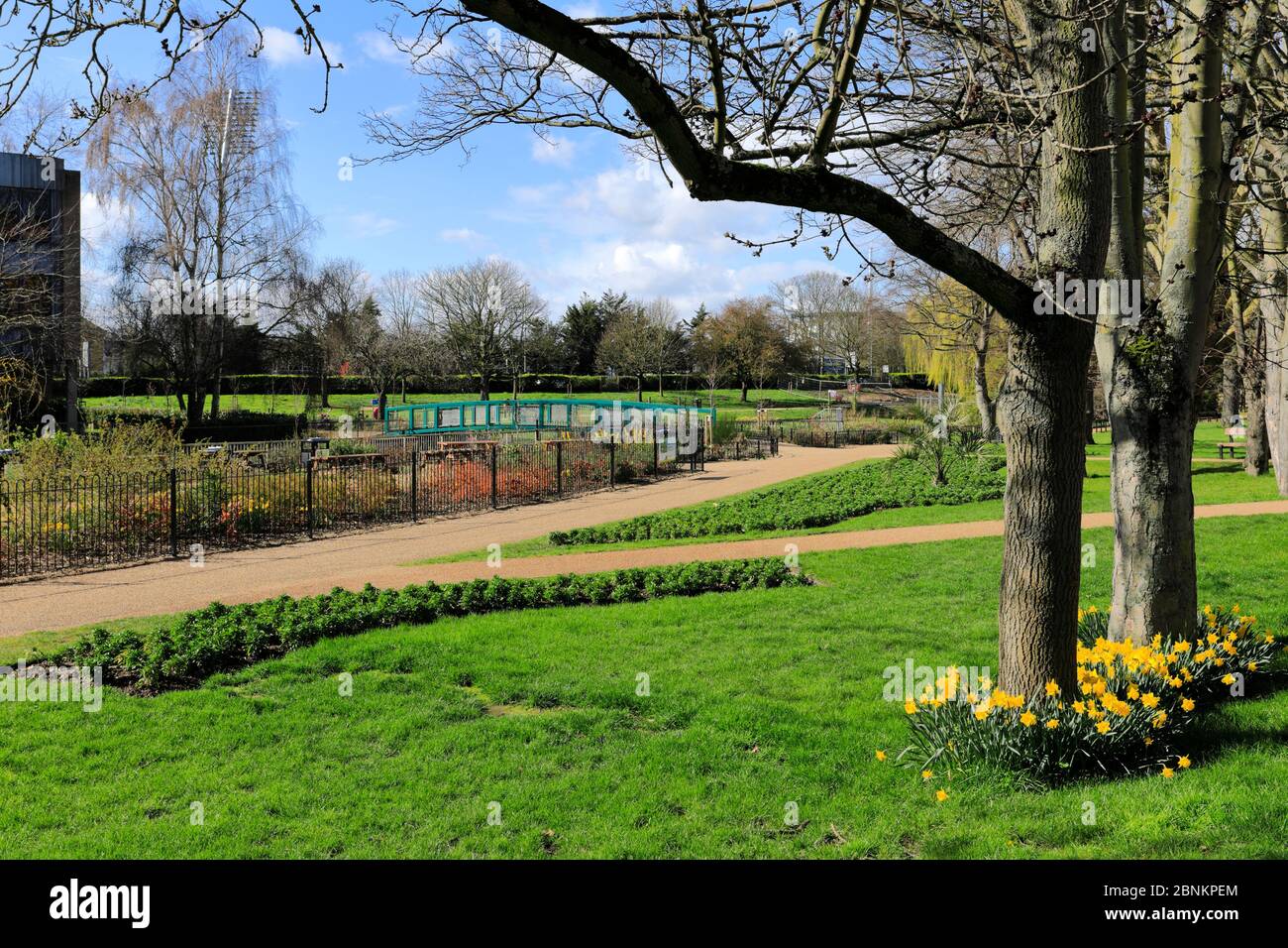Vista primaverile di Central Park, Chelmsford City, Essex County, Inghilterra, Regno Unito Foto Stock
