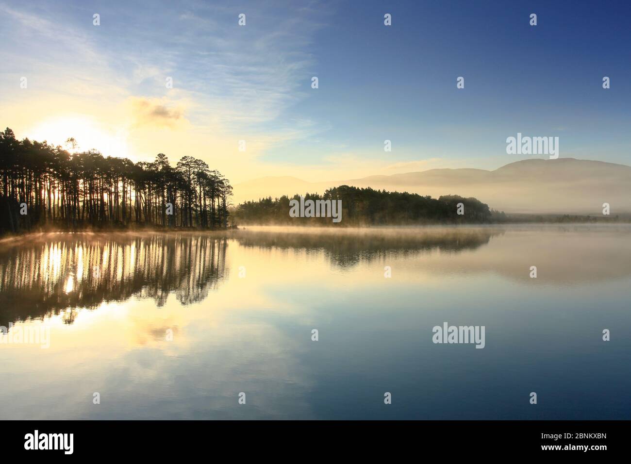 Loch Mallachie presso sunrise, Abernethy Forest, Cairngorms National Park, Scotland, Regno Unito, novembre. Foto Stock