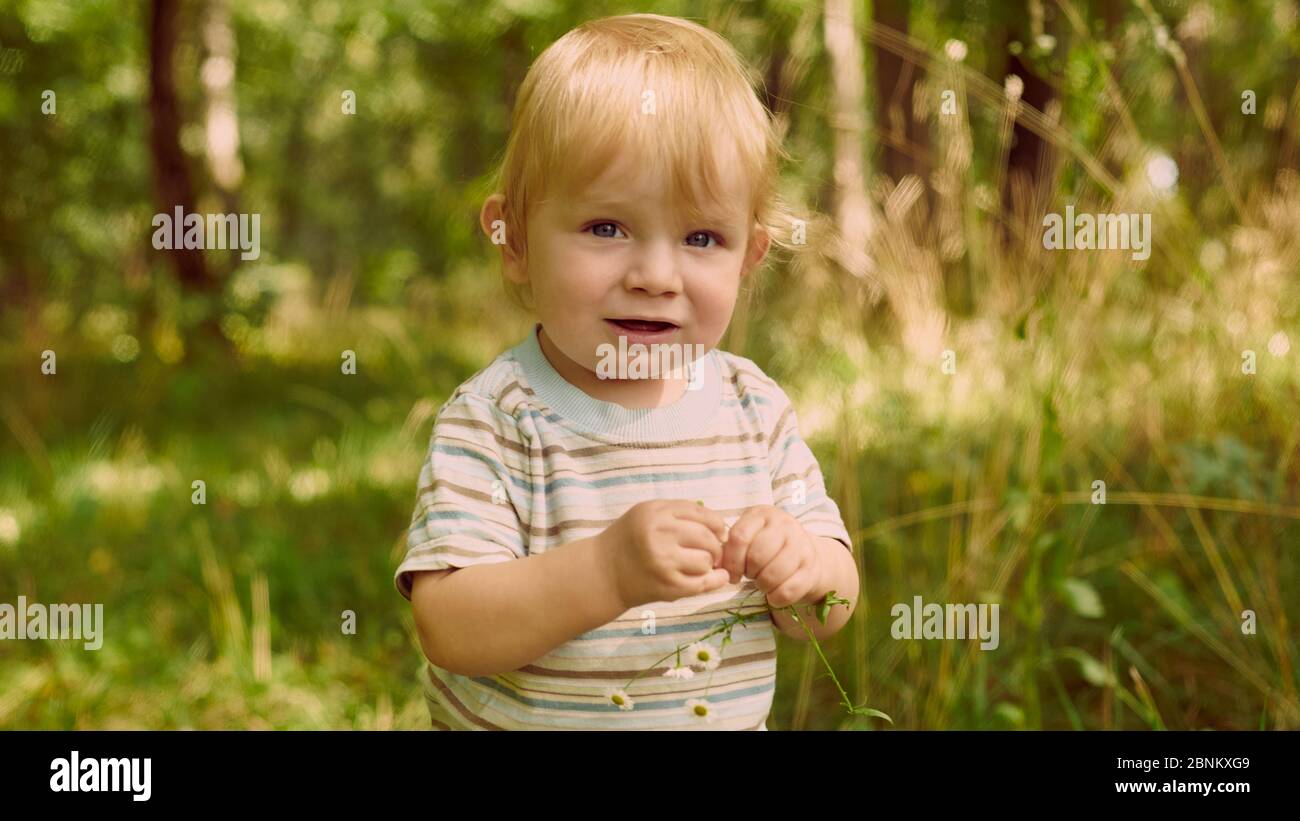 Ritratto di un bambino carino in un campo tra l'erba al tramonto. Un bambino cammina nel parco. All'aperto. Felice estate e stile di vita concetto. Bambino Foto Stock